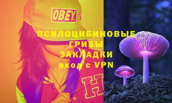 кокаин Богданович
