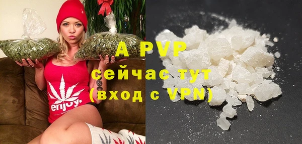 Альфа ПВП Богородск