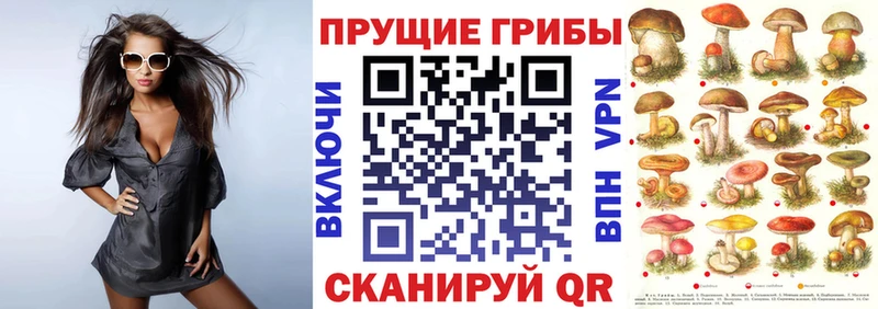 купить наркотики сайты  Бирюч  маркетплейс клад  Галлюциногенные грибы Cubensis 